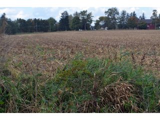 Property photo 93 - EHLE FARMS AUCTION - 118+/- ACRES IN 9 TRACTS IN ALLEN COUNTY, INDIANA